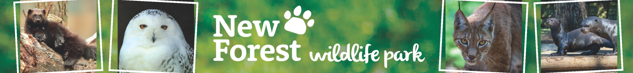 images of animals from New Forest Wildlife Park