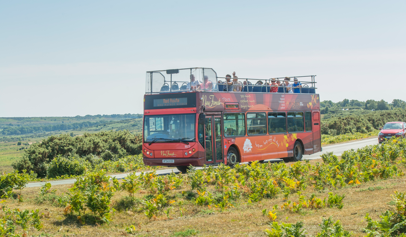 Red Route New Forest Tour bus in the forest